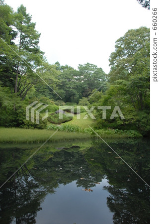 日光東京大學植物園花園池塘 日光東京大學植物園花園池塘 660266