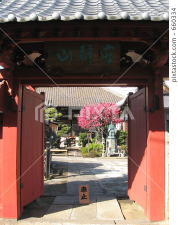 Hanamomo of Yanaka Temple in Yanaka 660334
