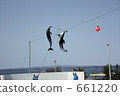dolphin jump 661220