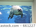 Seals of the Awara Aquarium 661227