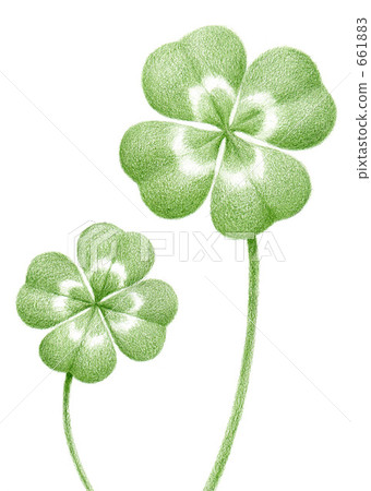 four Leaf Clover  661883