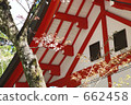 kirishima jingu, palace, red 662458