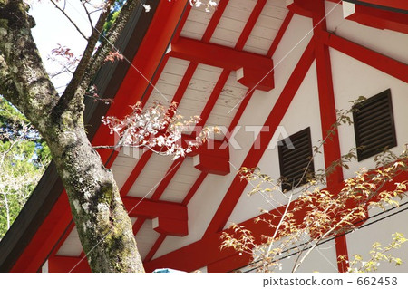 kirishima jingu, palace, red 662458