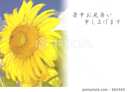 向日葵2 向日葵2 662484