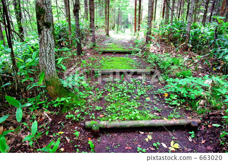 Green mountain path (sideways) 663020