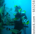 Diving at Guam 663258