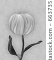 bloom, blossom, blossoms 663735