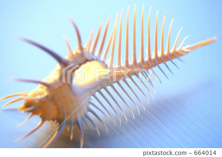 夏天的形象 夏天的形象 664014