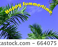 Palm tree 664075