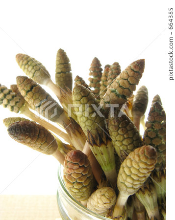 Beautiful scenes 664385