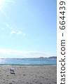 Sky, sea and dog 664439