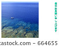 cobalt blue 664655