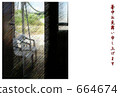 Sketch of chair 664674