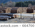Kiso's lumber 664700