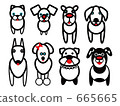 dog, dogs 665665