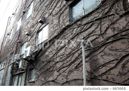 Tatami buildings with ivy Tatami buildings with ivy 665668