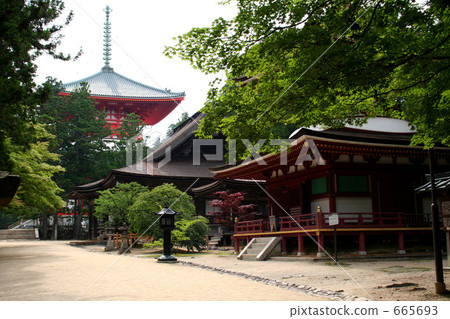 Mago on the altar 665693