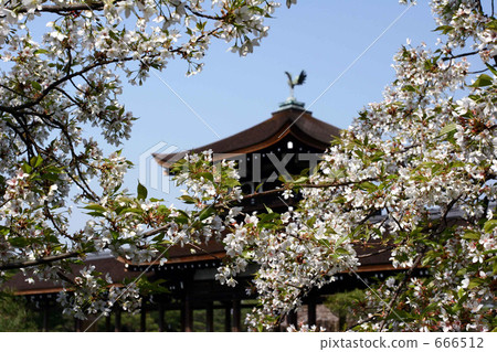 Heian Shrine Heian Shrine 666512