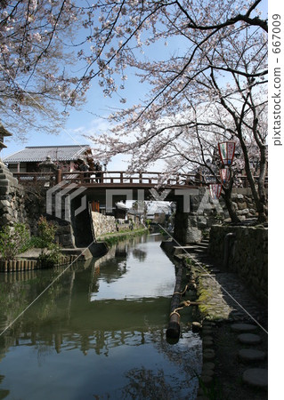 Hanasaki Yokohama護城河 667009