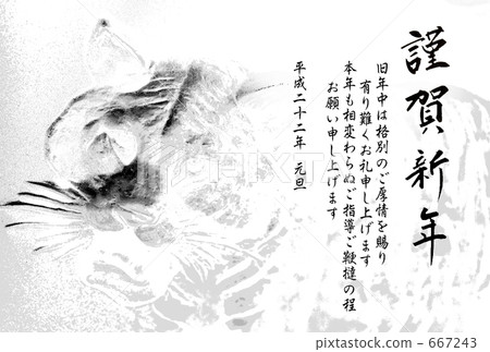 Tiger relief 1 667243