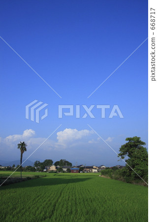 滋賀·夏季農村 668717