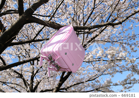 櫻花和書包2 669181