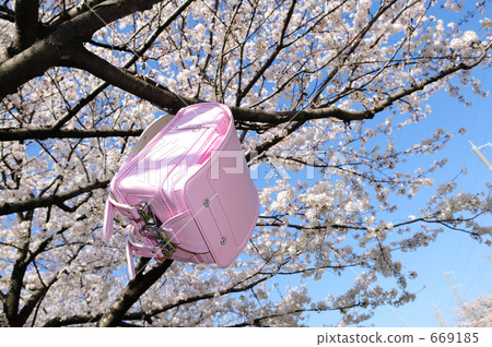Sakura and a school bag 669185
