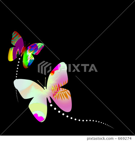 Butterfly  669274