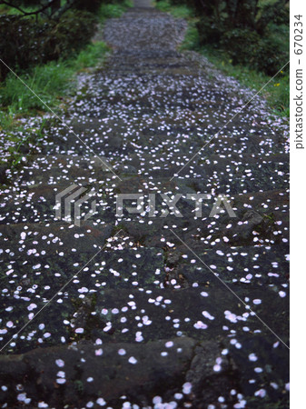 散落在春雨中 散落在春雨中 670234