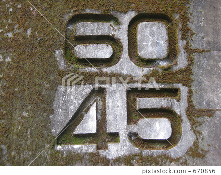 數字動畫 數字 苔蘚 670856