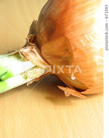 Germinated Onion 671093