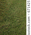 草地 草坪 綠色 671425