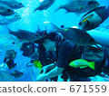 scuba diving, scuba dive, diver 671559