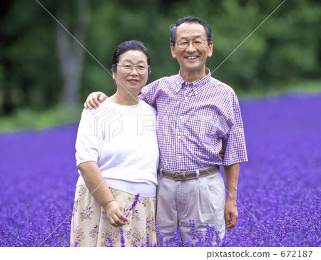 Commemorative photo in lavender field Commemorative photo in lavender field 672187