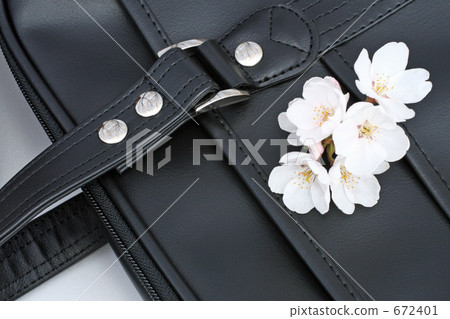 Cherry blossoms and entrance image New shoes and bags Cherry blossoms and entrance image New shoes and bags 672401