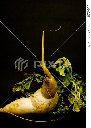Daikon 2 Daikon 2 672402