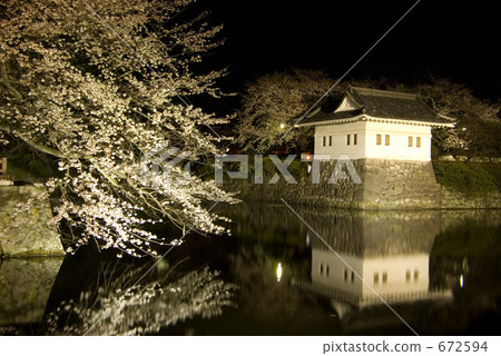 護城河櫻桃樹晚上 672594