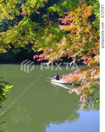 Autumn leaves of tremor lake 672597