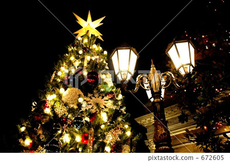 Christmas tree Christmas tree 672605
