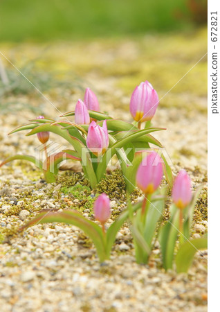 Baikeri Baikeri 672821