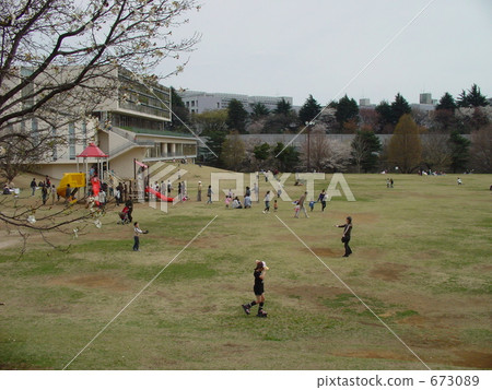 春天樹森林公園 春天樹森林公園 673089