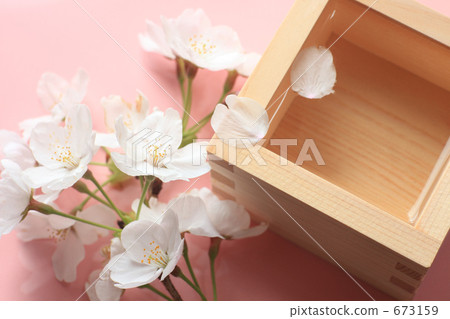 Sake and cherry blossoms Sake and cherry blossoms 673159