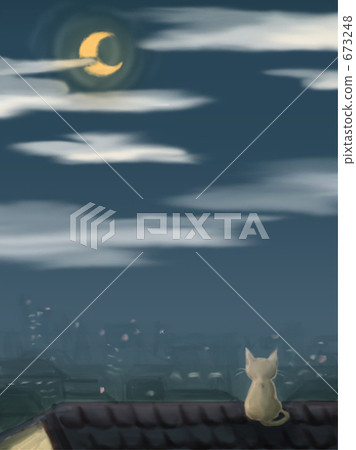 Moonlit night Moonlit night 673248