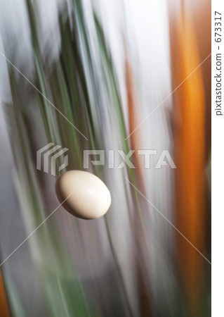 蛋落_垂直_明亮 蛋落_垂直_明亮 673317