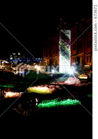 Flower Garden 2009 4 673671
