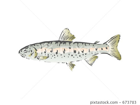 Kamome 090405 16 Kamome 090405 16 673783