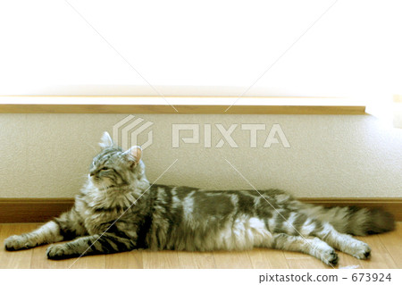 Chillin · Relief Chillin · Relief 673924