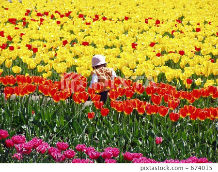 Flower garden 674015