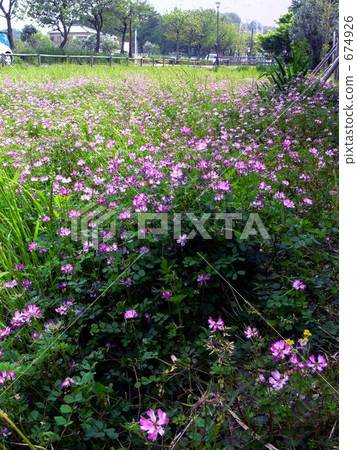 Countryside range field Countryside range field 674926