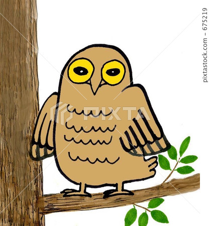 鷹鴞 illustration 數字動畫 675219